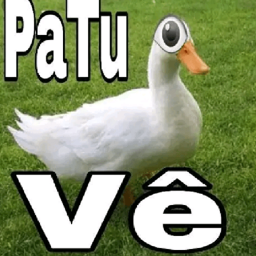 RESPOSTAS RÁPIDAS  3