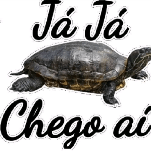 RESPOSTAS RÁPIDAS  9