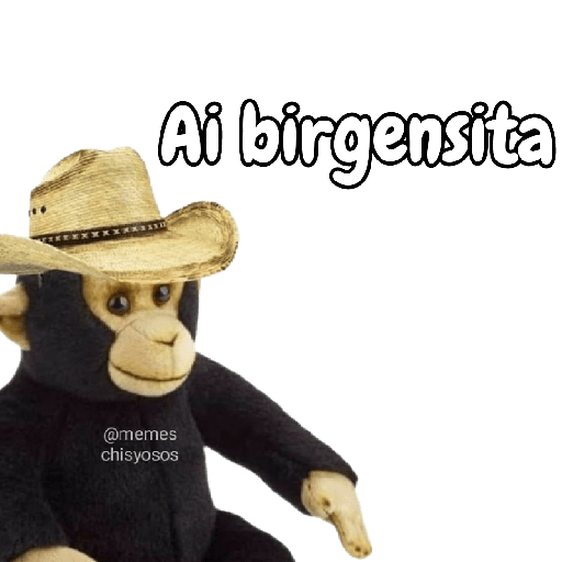 Memes xd 6