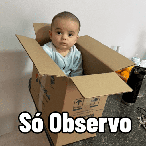 Minhas figurinhas 22