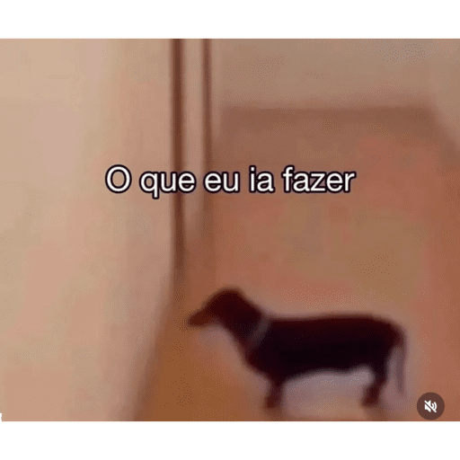 Minhas figurinhas 4