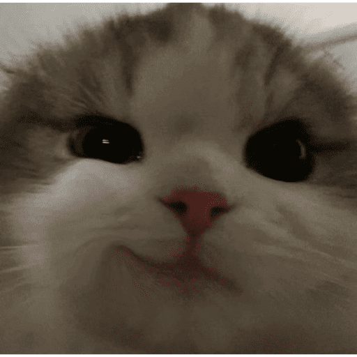Animais 22