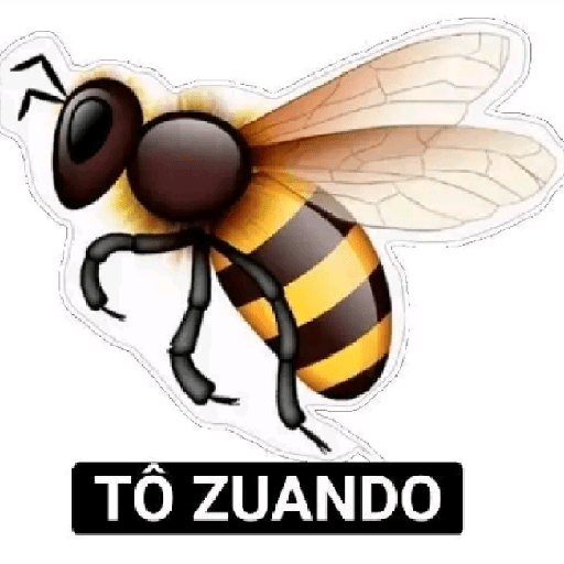 RESPOSTAS RÁPIDAS  13