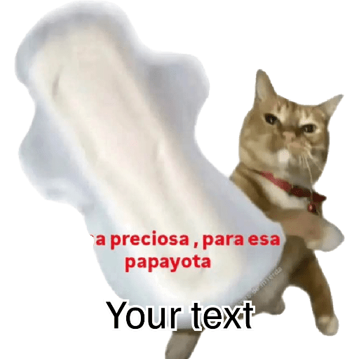 Momos Nova  1