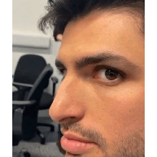 Carlos sainz  25