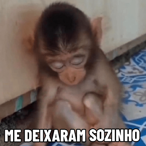 Macaquinhos falantes 15