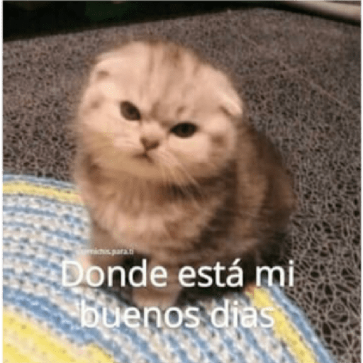 Impactado 29