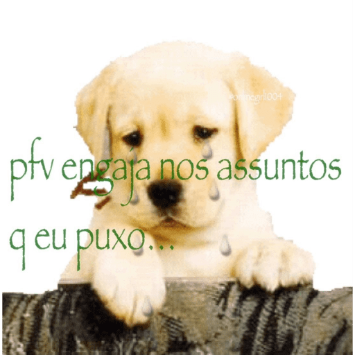 Animais 12