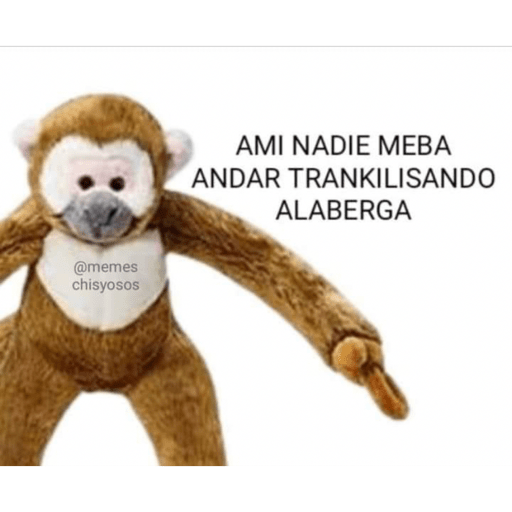 Sin contexto 5
