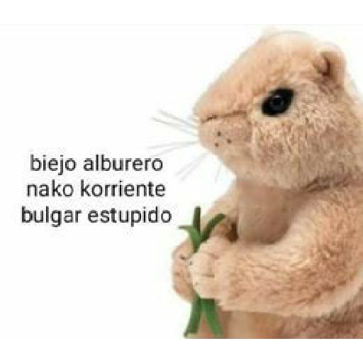 Memes xd 13