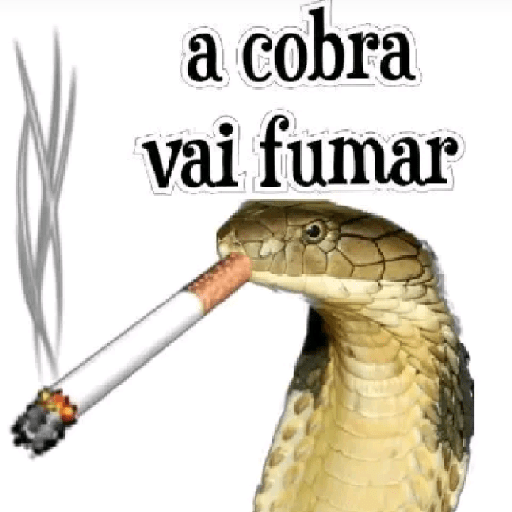 RESPOSTAS RÁPIDAS  20