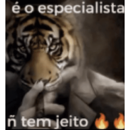 Caminhoes e Betoneiras 13