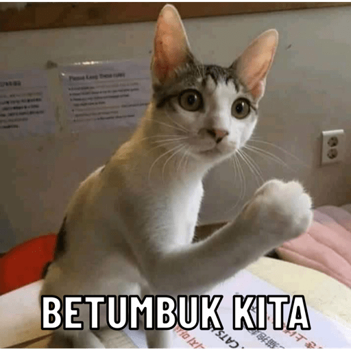 Kucing 1 5