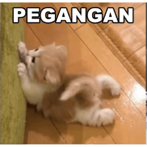 Random meme 2 2