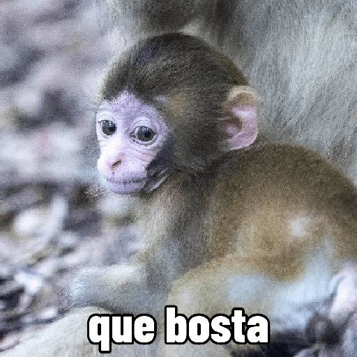Macaquinhos falantes 26
