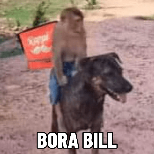 Macaquinhos falantes 6