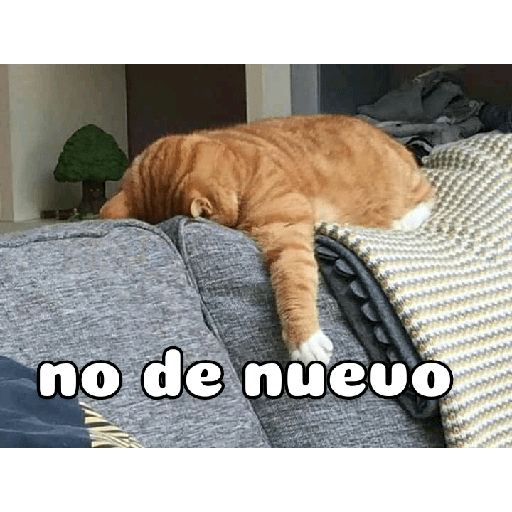 Impactado 14