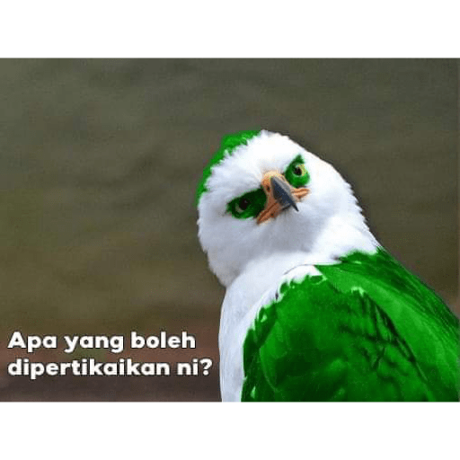 Quote by Politician 2 20