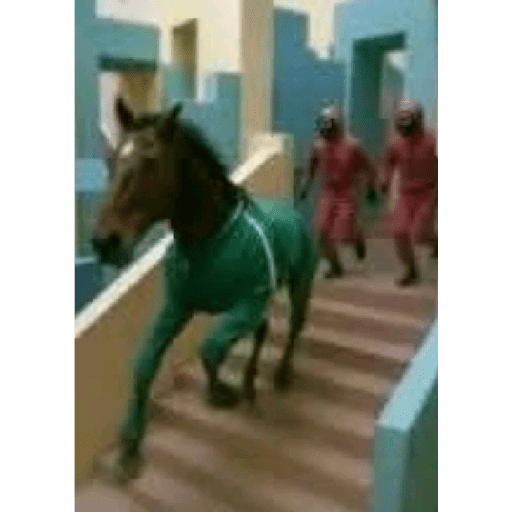 Aleatório 2 4