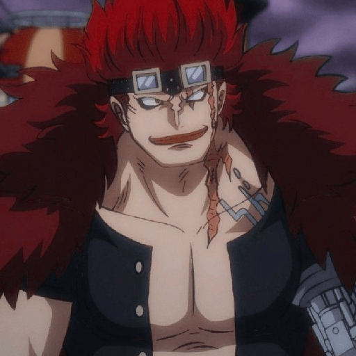Eustass kid 20