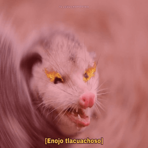 Animalitos 9