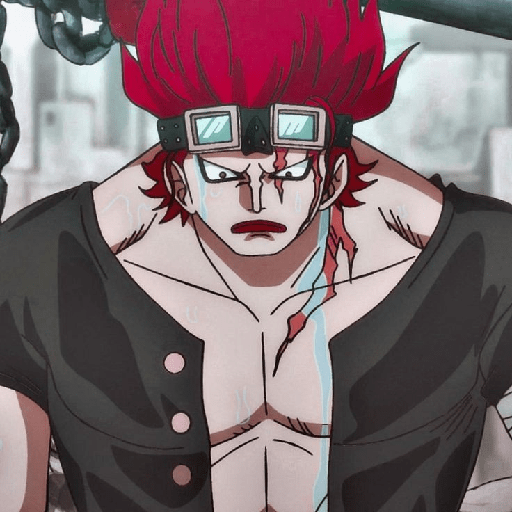 Eustass kid 19