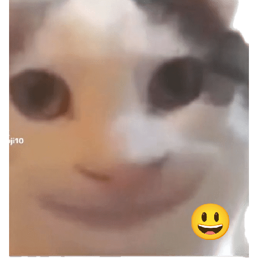😺👍 michis michis  6