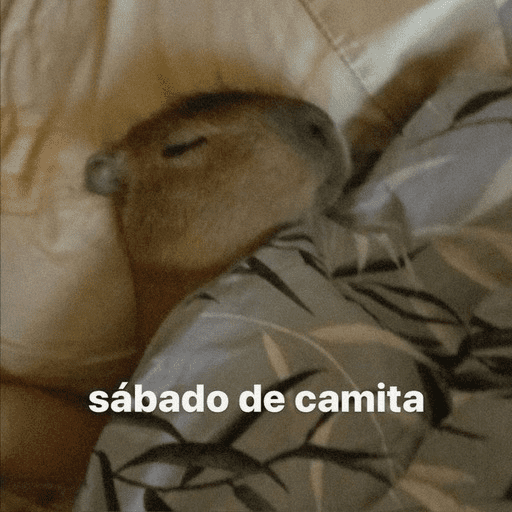 Animalitos 12