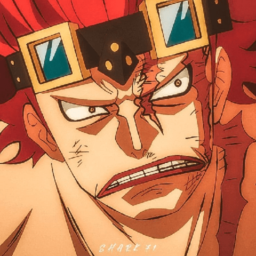 Eustass kid 17