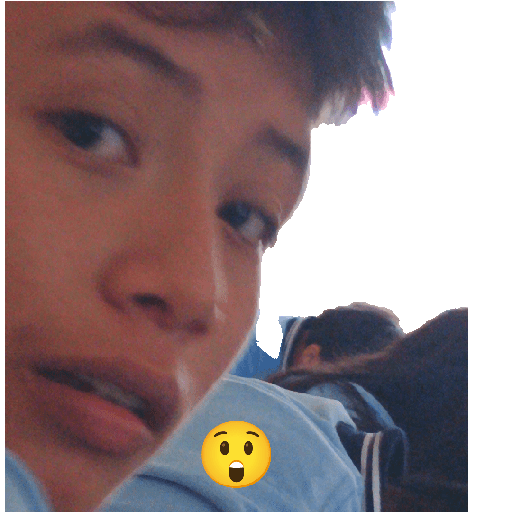 Secso 7