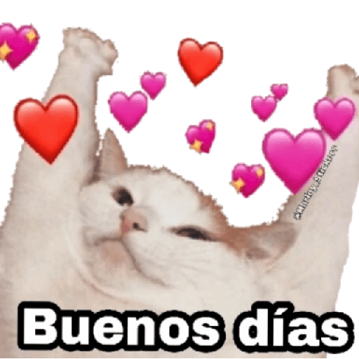 Buen dia notitas 💘  19