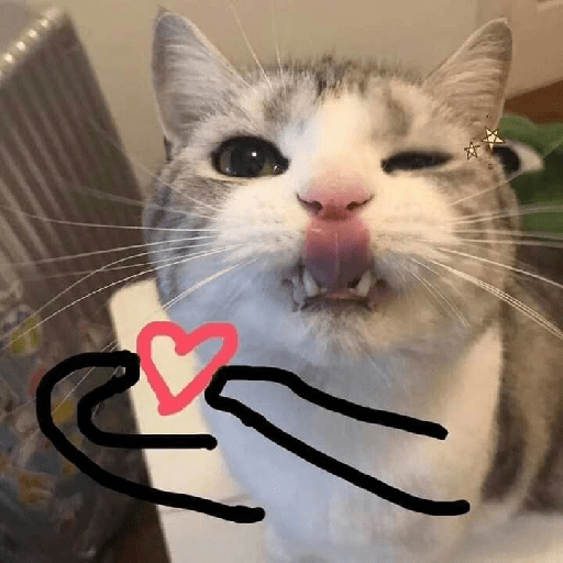 Kucing  9