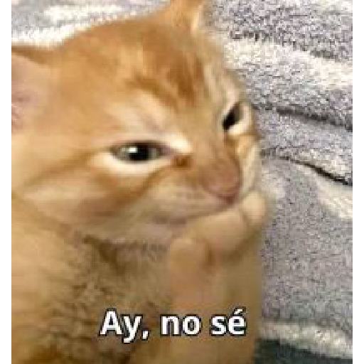 😺👍 michis michis  16