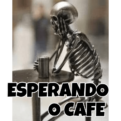 Burro 19