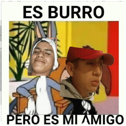 Jaja 17