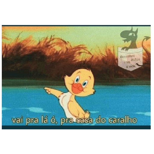 Burro 26