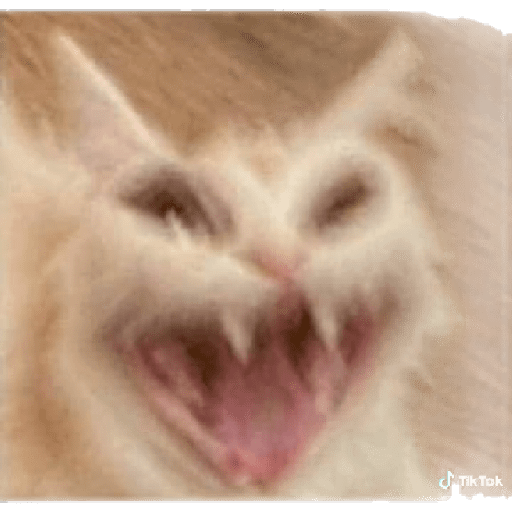 😺👍 michis michis  1