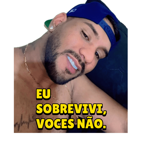 Minhas figurinhas 8