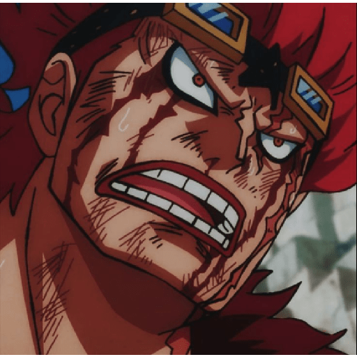 Eustass kid 14