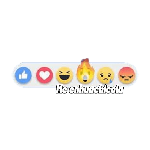 Barra de reacciones chidas 10