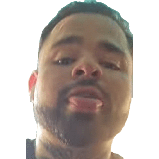 Jaja 22