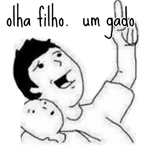 Burro 16