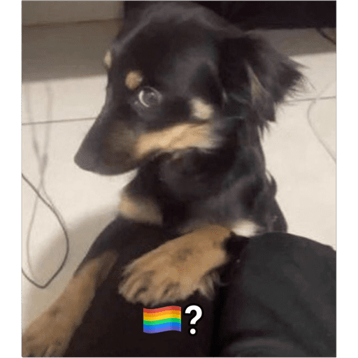 Cocorico  21