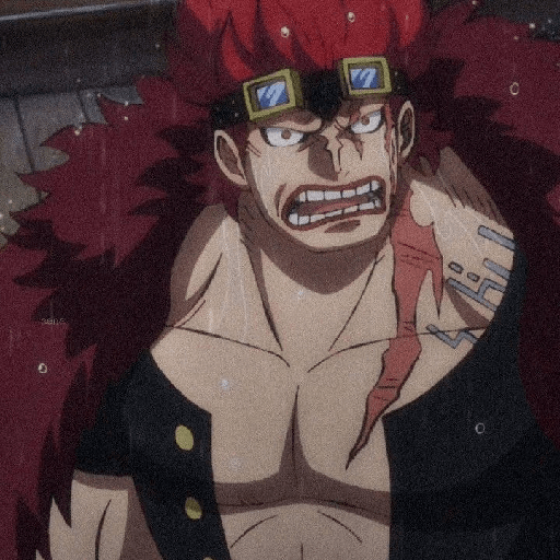 Eustass kid 6