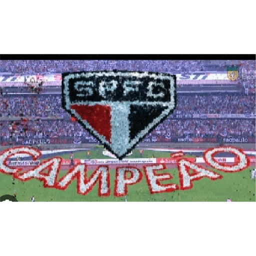 SÃO  PAULO❤🤍🖤 23