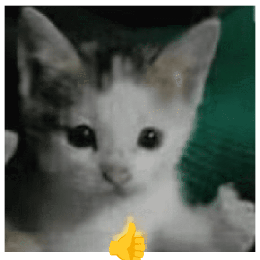 😺👍 michis michis  13