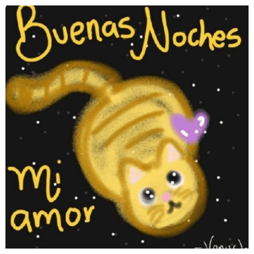 Buenas Noches 💘  17