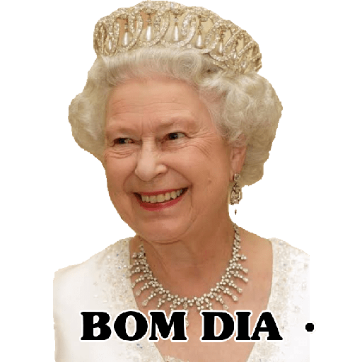 Burro 24