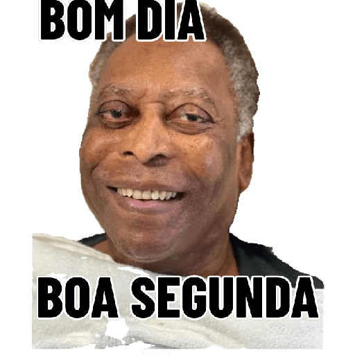 Burro 20