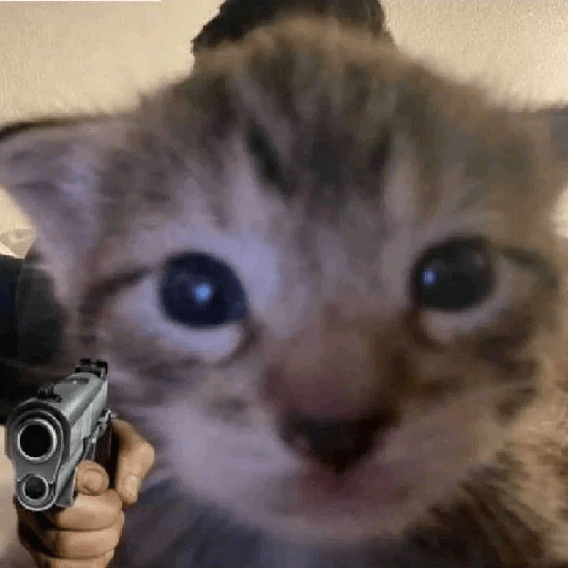 Kucing  8